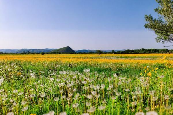 夏日的风景